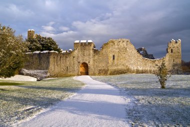 Castle in Adare at winter clipart