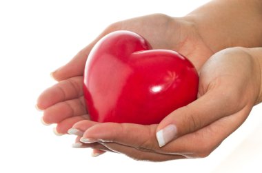 Heart in hands clipart