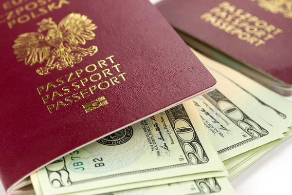 여권과 돈 — 스톡 사진