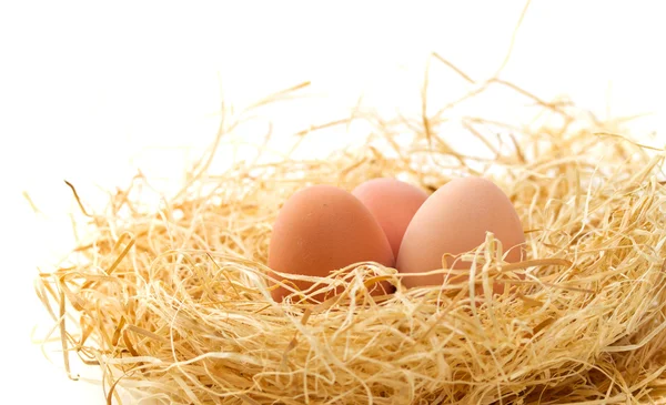 Ouă proaspete — Fotografie, imagine de stoc