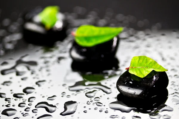 stock image Black spa stones