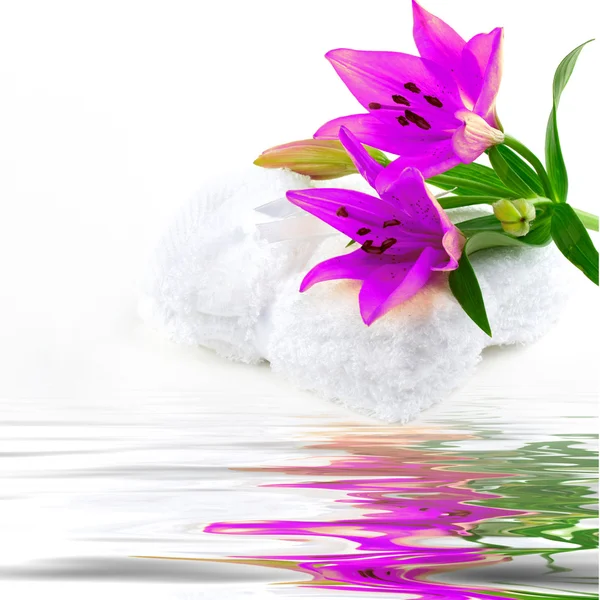 Lily blomma på handduk — Stockfoto