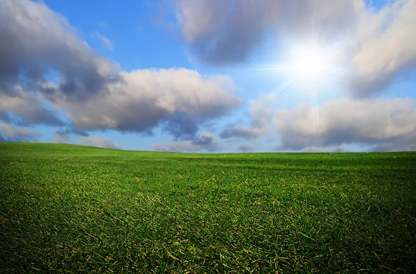 牧歌的な草原 — ストック写真