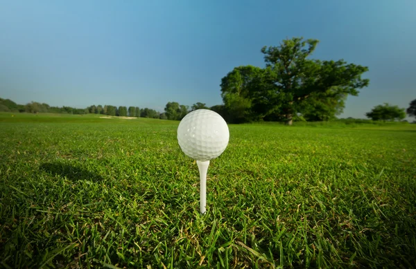 Pallina da golf sul tee — Foto Stock