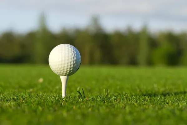 Pallina da golf sul tee — Foto Stock