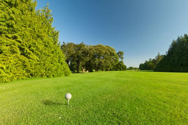 Golf ball op de tee — Stockfoto