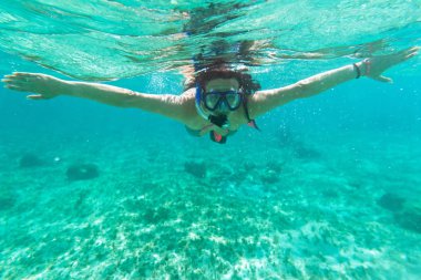 Snorkeling in the Caribbean Sea clipart