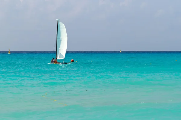 White sail on the Caribbean sea — Stock Photo, Image