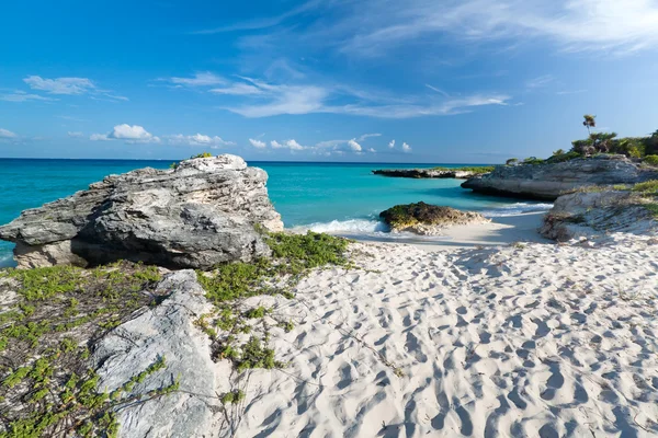 Spiaggia idilliaca dei Caraibi — Foto Stock