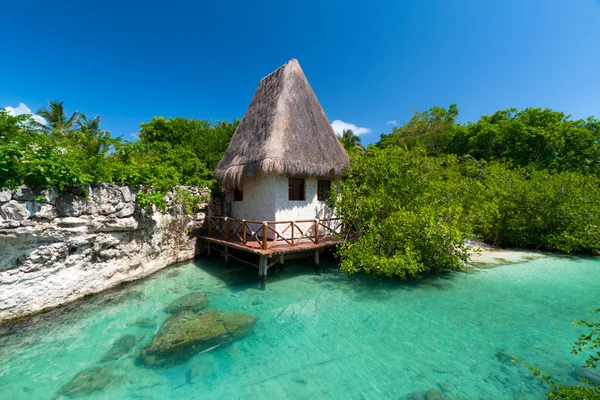 Mexican jungle hut — Stock Photo, Image