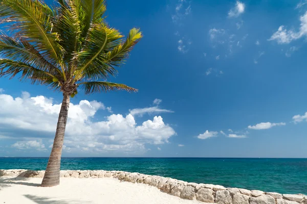 Cenário idílico do mar do Caribe — Fotografia de Stock