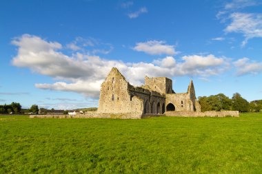 Hore Abbey clipart