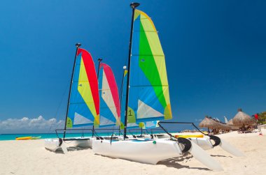 Colorful sail catamarans clipart