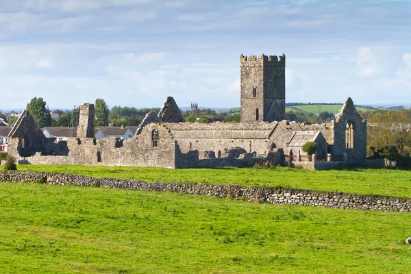 Ruinen der Abtei von Clare — Stockfoto