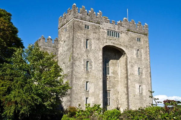 Castelo de Bunratty — Fotografia de Stock
