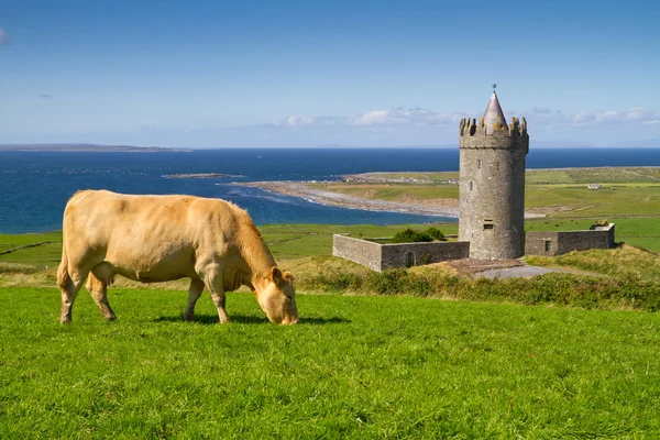 Ирландия — стоковое фото