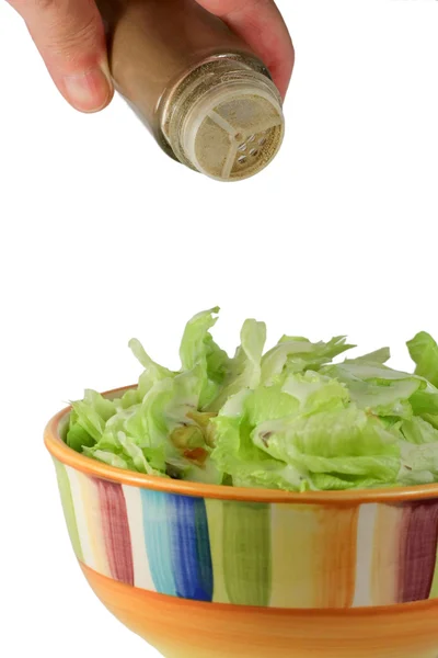 Salada e pimentão — Fotografia de Stock