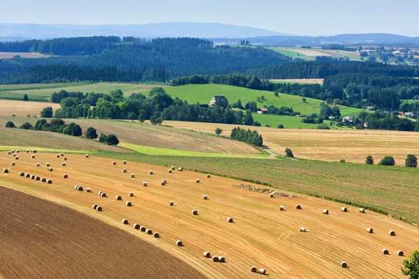 Summer field after harvest — Stock Photo, Image