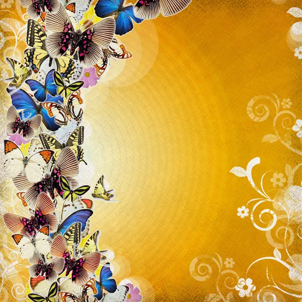 Grunge vacker färgad abstraktion med fjäril och utsmyckade — Stockfoto