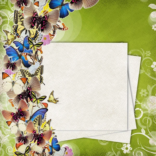 Grunge krásné barevné abstrakce s motýl a zdobené — Stock fotografie