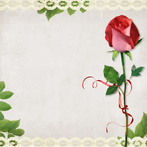 Ročník kartu od starého papíru a růže na šedém pozadí abstraktní — Stock fotografie