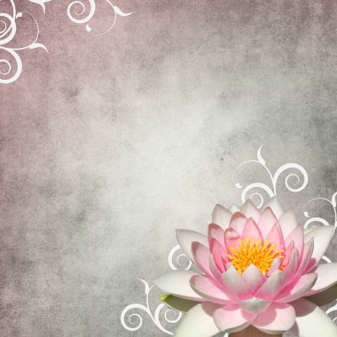 Pastel background with white lily clipart