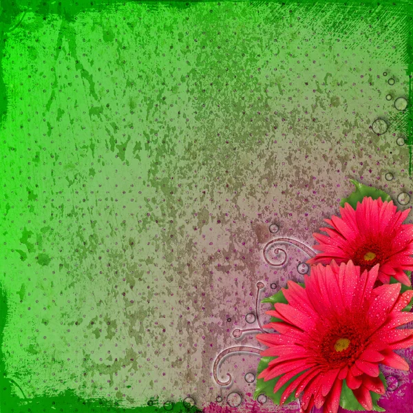 Spring dots grunge background with gerber flowers — Stock Photo, Image
