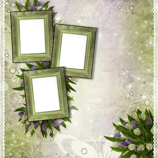 Wooden frames for photo with tulips, drops and lace — Stock Photo, Image