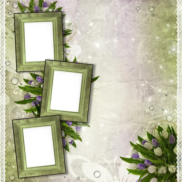 木框的照片与郁金香、 滴和花边 （1 套) — 图库照片