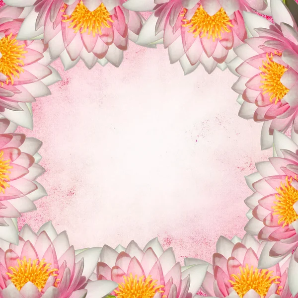 Pastelové pozadí s bílou lilii — Stock fotografie