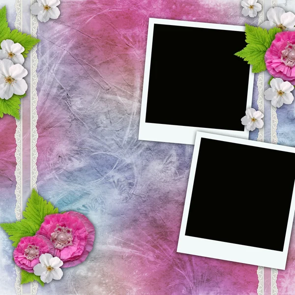 Ročník pozadí s rámy pro fotografie, květiny, krajky — Stock fotografie
