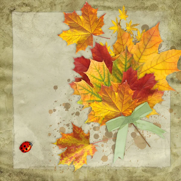 Herfstbladeren vintage achtergrond — Stockfoto