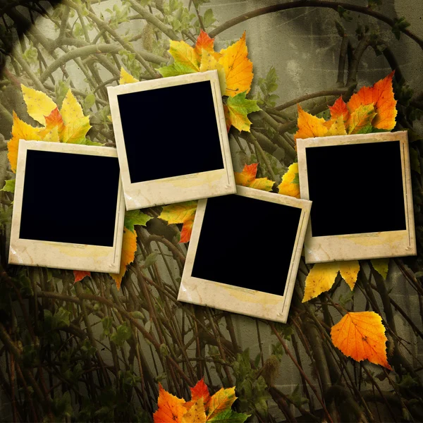 Eski film boşluklar ve sonbahar yaprak — Stok fotoğraf
