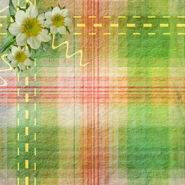 Summer plaid background with flowers — Stock Photo, Image