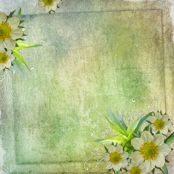 Літня вітальна листівка на свято з рамкою і квітами — стокове фото