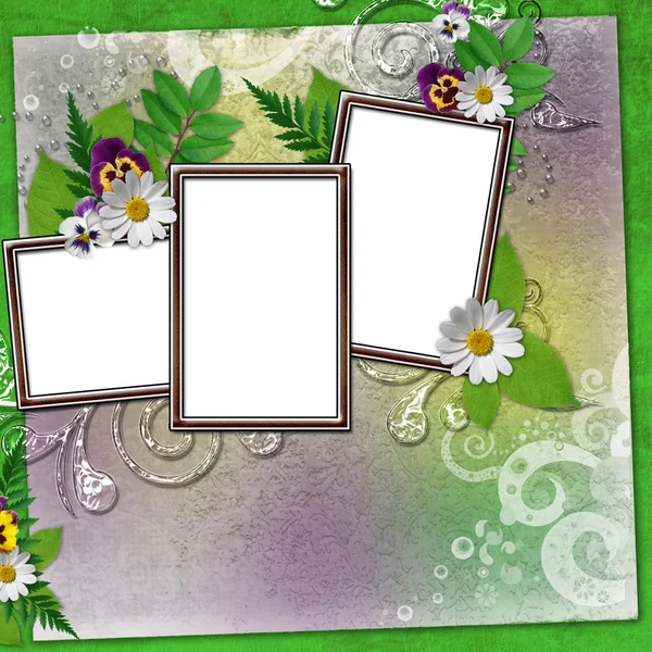 Frame voor drie foto's met kleurrijke bloemen — Stockfoto