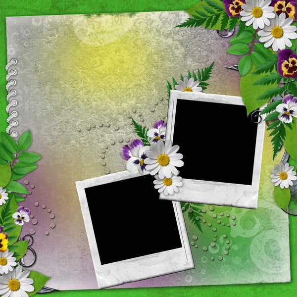 Keret két fénykép, melyet a színes virágok — Stock Fotó