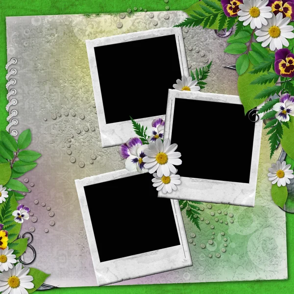 Рамка для трьох фотографій з барвистими квітами — стокове фото