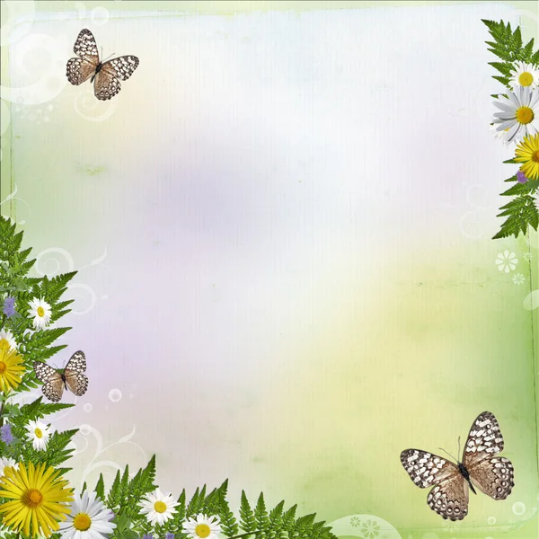 夏天背景与七彩花朵和叶子 — 图库照片
