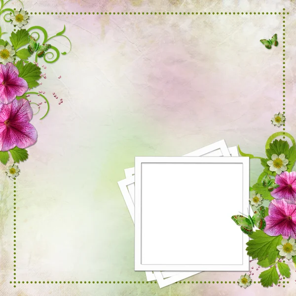 Gratulálunk kártya, rózsaszín és zöld háttér — Stock Fotó