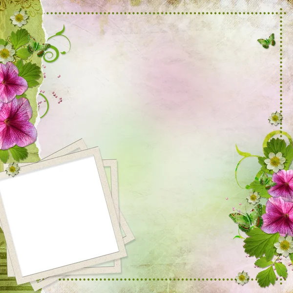 Pro kartu blahopřání v růžové a zelené pozadí — Stock fotografie