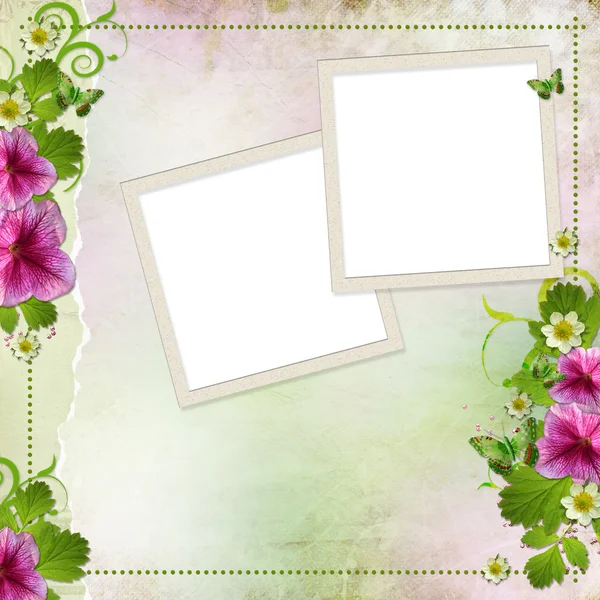 Pro kartu blahopřání v růžové a zelené pozadí — Stock fotografie