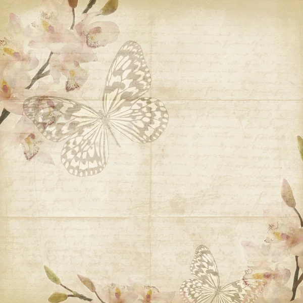 Vintage floral background with orchids, text, space for text or — Stock Photo, Image
