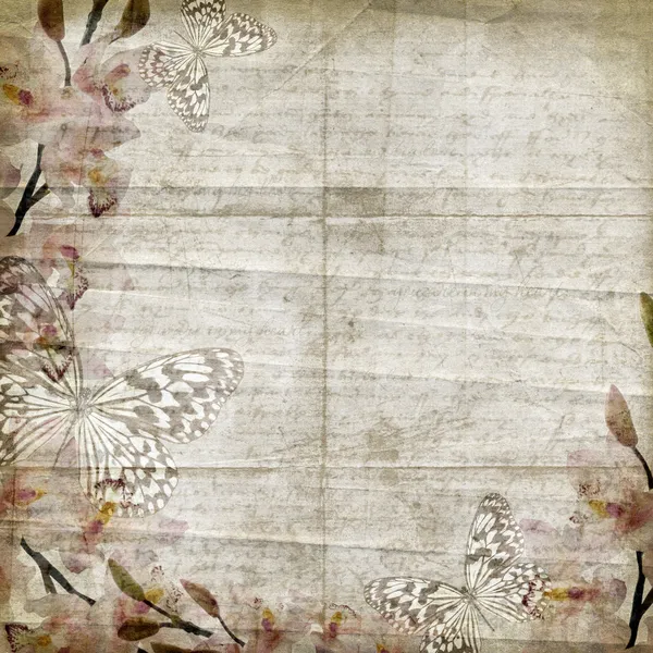 Εκλεκτής ποιότητας floral φόντο με ορχιδέες, κείμενο, χώρο για κείμενο ή — Φωτογραφία Αρχείου