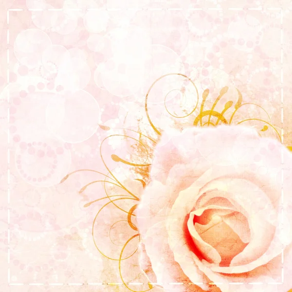 Vintage beige Hochzeitshintergrund mit Rose — Stockfoto