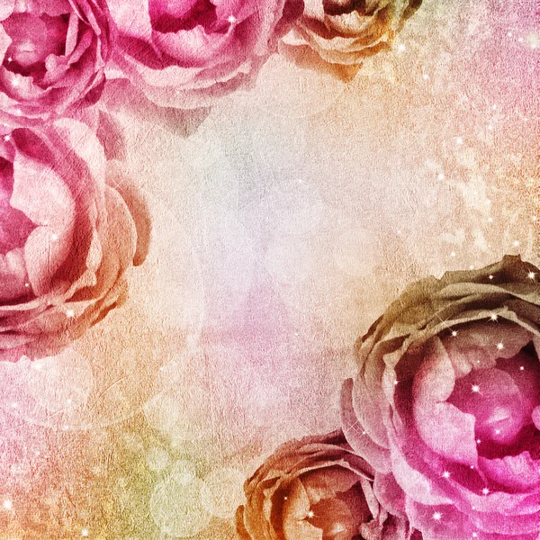 Różowy tło wesele z różami — Zdjęcie stockowe