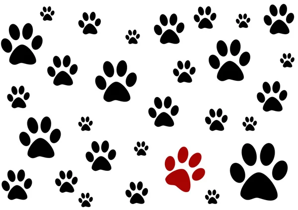 Black and white background with paws — Stock Photo, Image