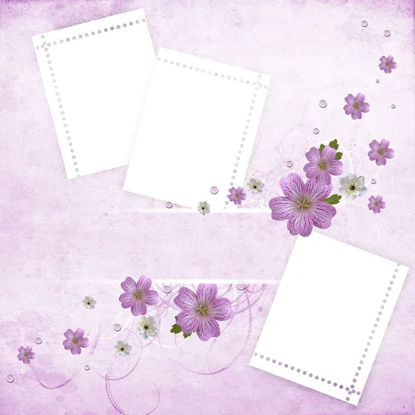 Beautiful pink floral background — Stock Photo, Image