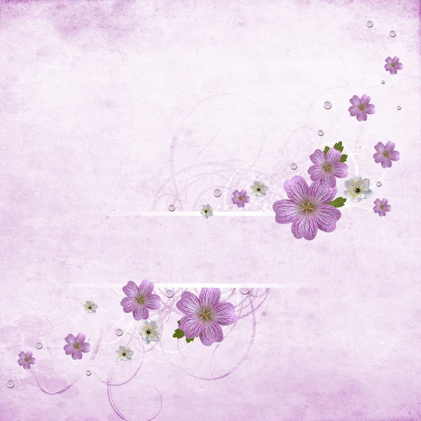 美丽的粉红色花卉背景 — 图库照片