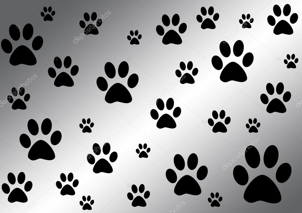 Black and white background with paws